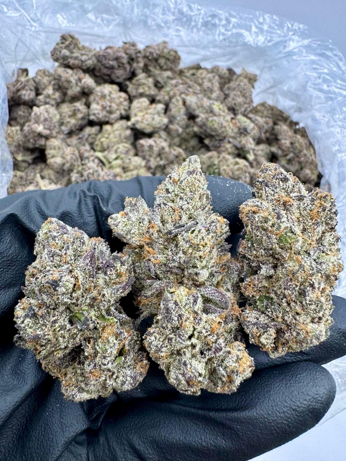 Lemon Cherry Gelato Flower