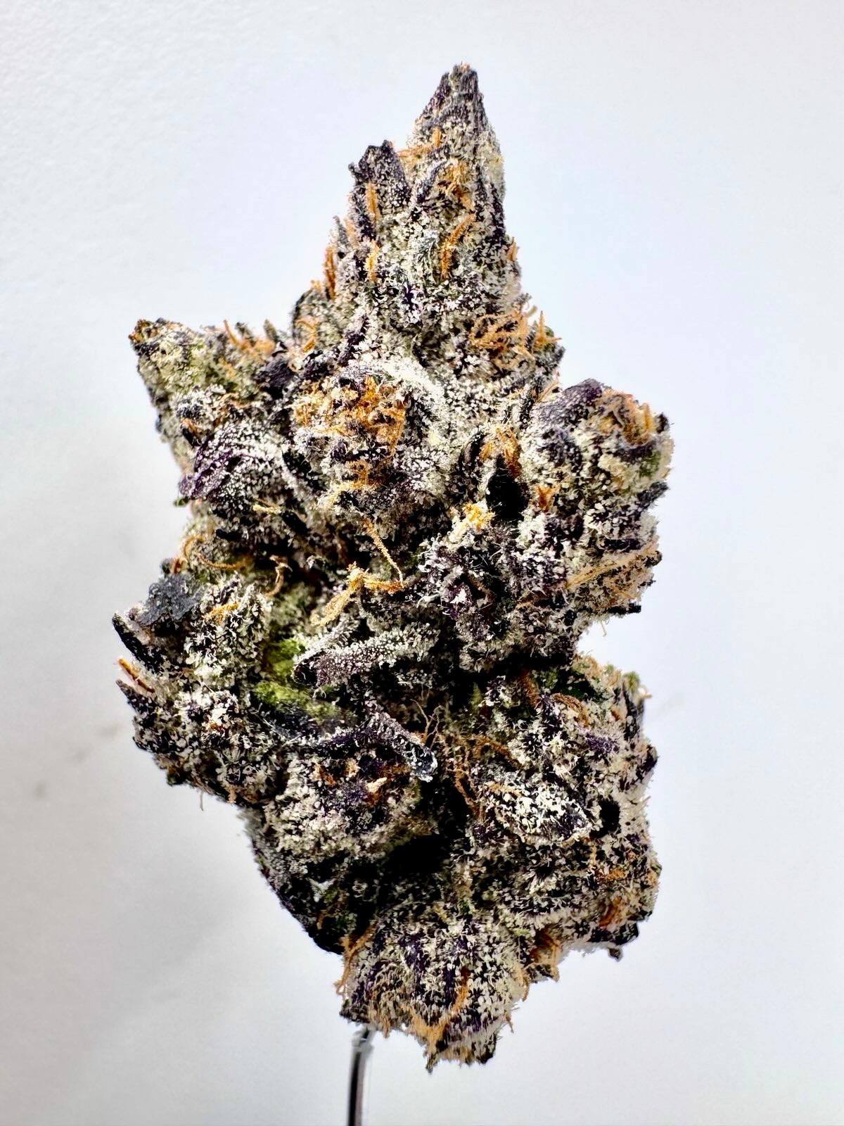 Lemon Cherry Gelato Flower