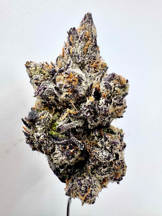 Lemon Cherry Gelato Flower